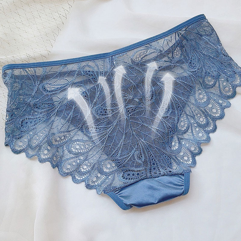 Women's Sexy Lace Sheer Panties with Plus Size