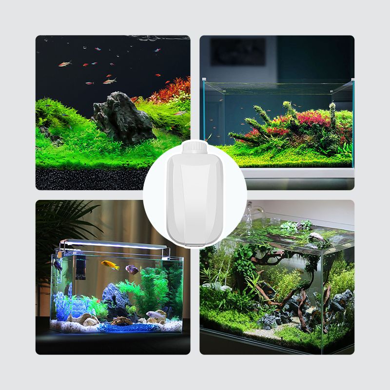 Fish Tank Dual Outlet Electric Air Pump(Free Shipping)