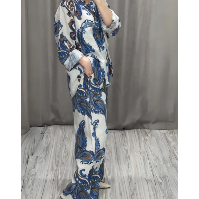 (Free Shipping)Two Piece Shirt and Trousers Set for Women