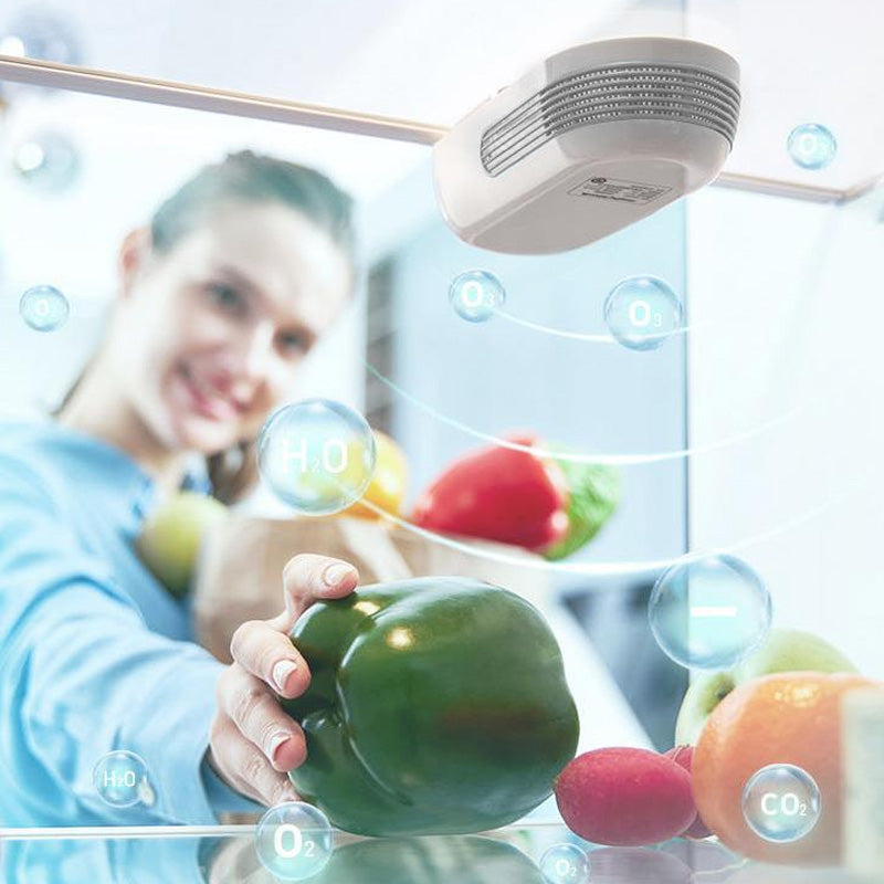 ⏳Time-limited Special⏰Mini Sterilizing & Freshness Deodorizer for Refrigerator