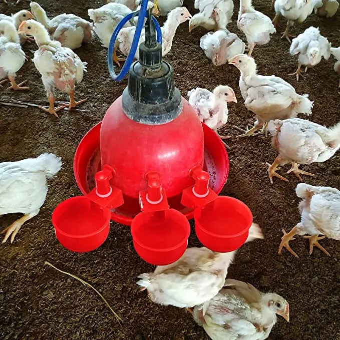 🔥Automatic Chicken Water Cup Bird Coop