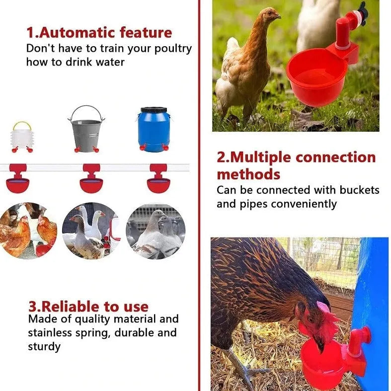 🔥Automatic Chicken Water Cup Bird Coop