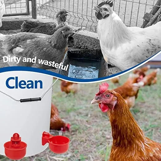 🔥Automatic Chicken Water Cup Bird Coop