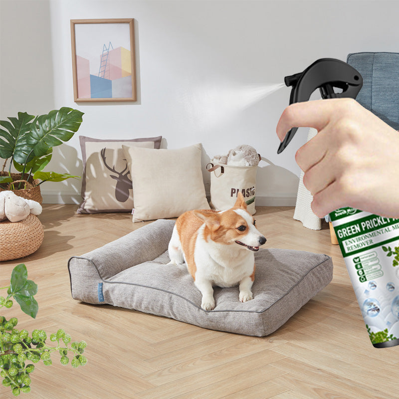 ✨Buy More Get More Free✨Power Insect Spray