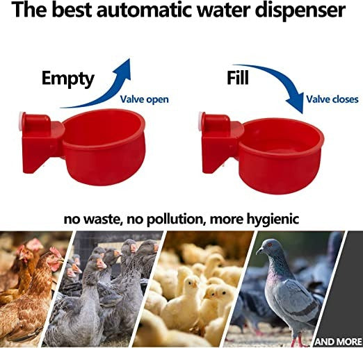 🔥Automatic Chicken Water Cup Bird Coop