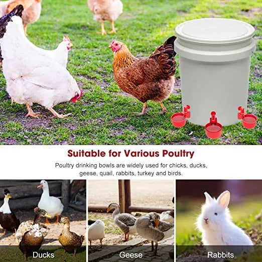 🔥Automatic Chicken Water Cup Bird Coop