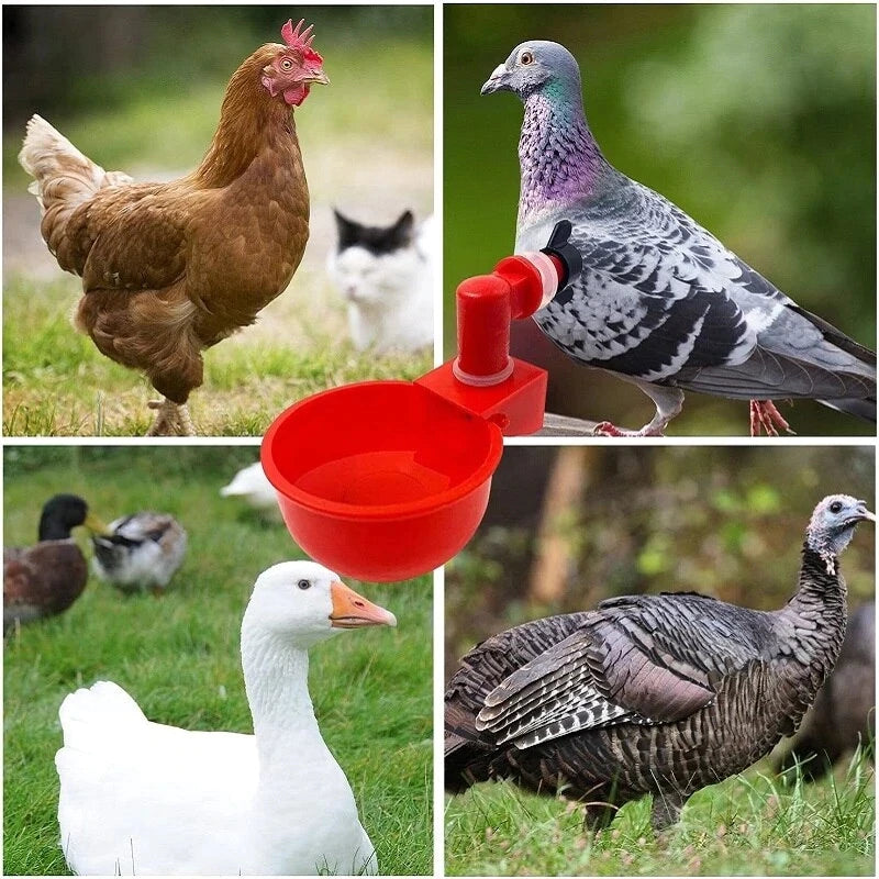 🔥Automatic Chicken Water Cup Bird Coop