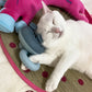 💕Ultimate Pet Comfort Massager