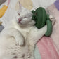 💕Ultimate Pet Comfort Massager