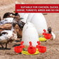 🔥Automatic Chicken Water Cup Bird Coop