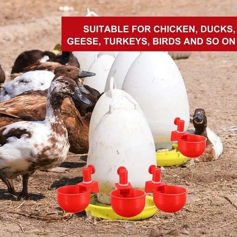 🔥Automatic Chicken Water Cup Bird Coop