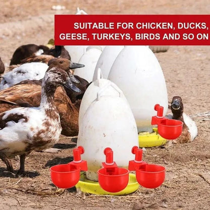 🔥Automatic Chicken Water Cup Bird Coop