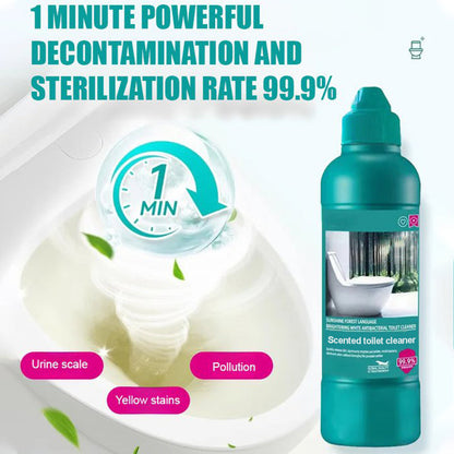 🔥New Hot Selling❤️‍🔥Quick Descaling & Long-Lasting Toilet Cleaner