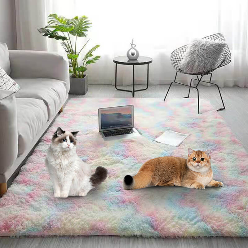 🛋️ 50% OFF NOW! 🎨 Gradient Color Plush Floor Mat – Ultra-Soft 4cm, Non-Slip & Machine Washable ✨
