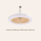 🎁Remote Control Aromatherapy Ceiling Fan with Light