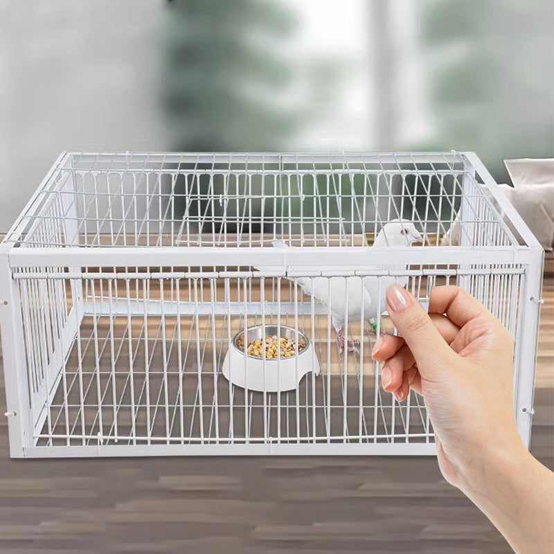 AutoTrap Bird Cage Rabbit Cage Mouse Cage - Enter Only, Do Not Leave