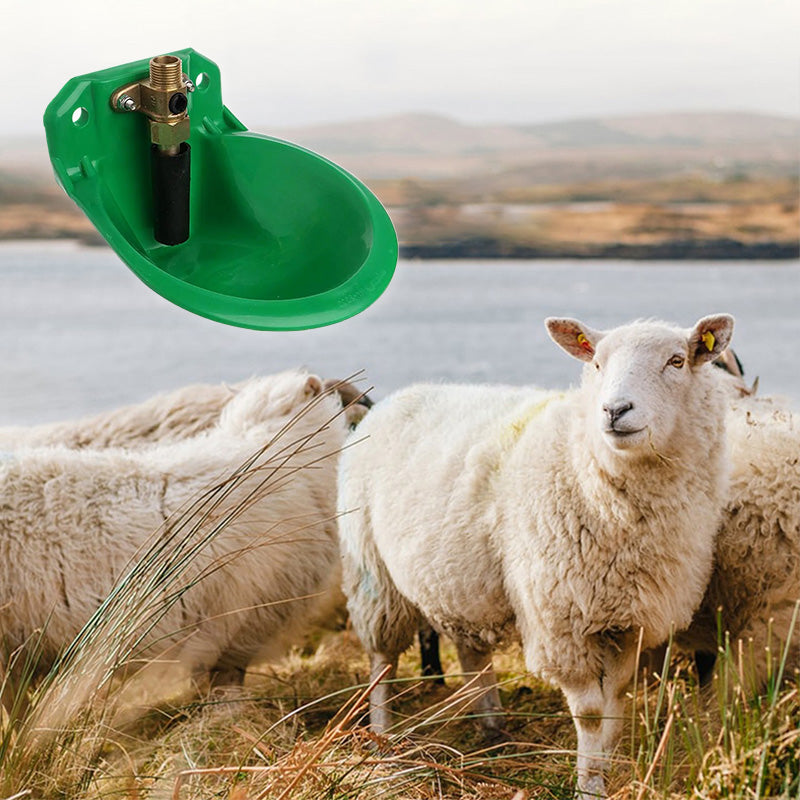 Automatic Sheep Water Bowl with Copper Valve