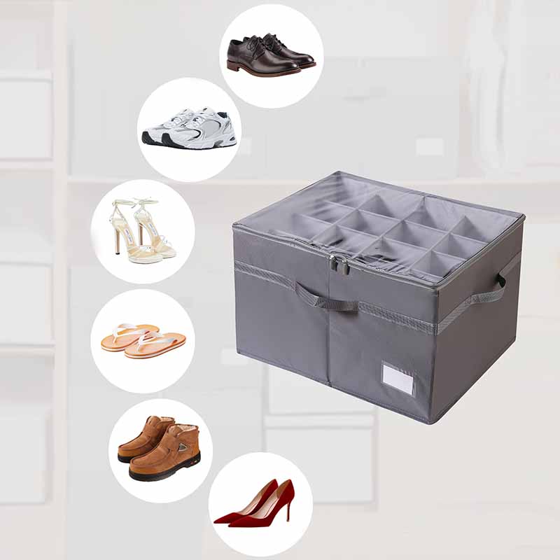 Shoe Organizer with Adjustable Dividers & Clear Cover