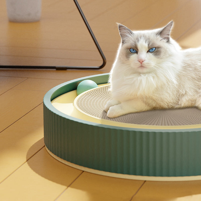 🔥Free shipping🔥Funny Round Cat Scratching Board