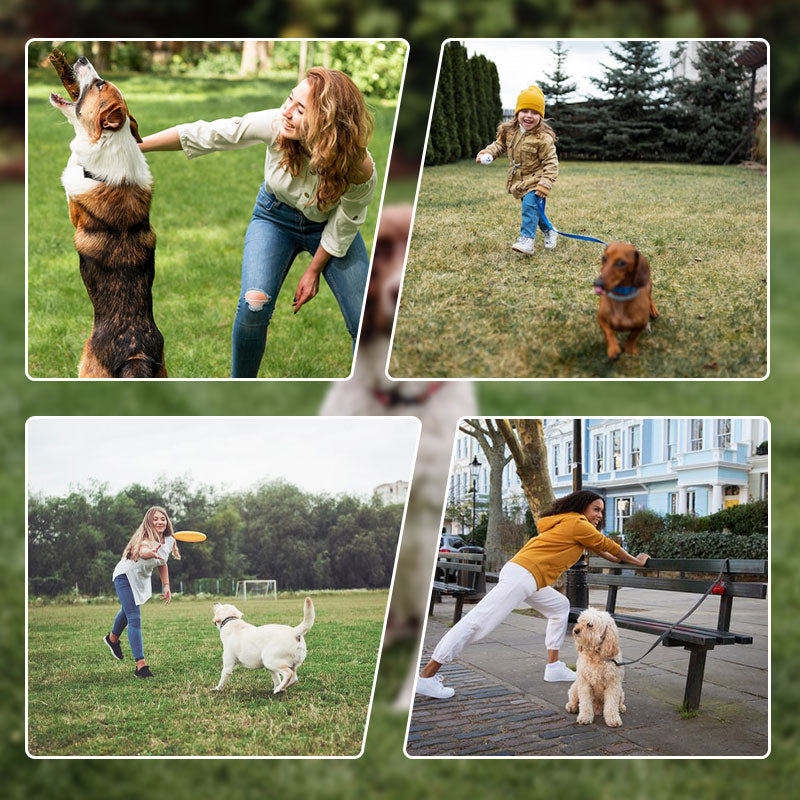 Bark Guard Anti Barking Device for Dogs