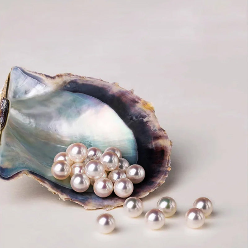 ✨Ladies' high-end exquisite handmade pearl brooch（50% OFF）