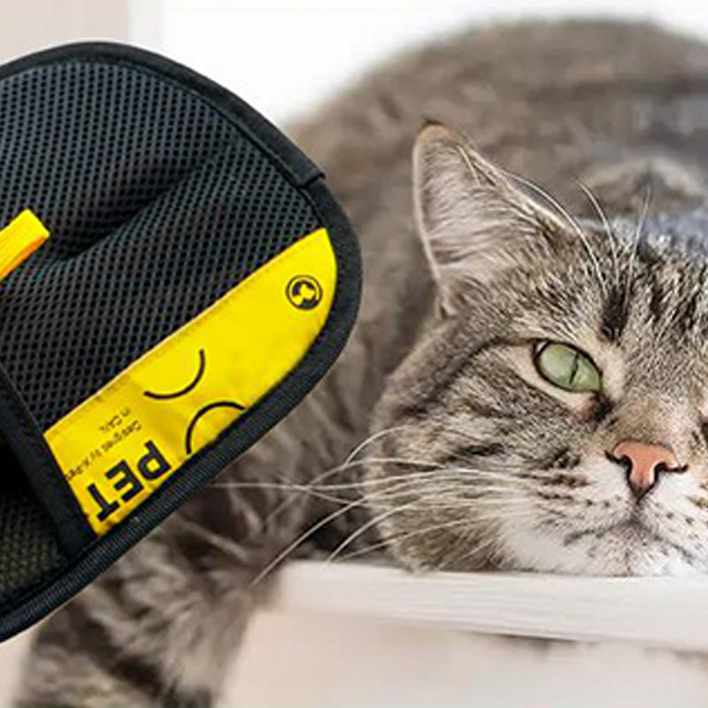 🔥Big Sale 43% OFF🔥Double-Sided Grooming Gloves for Pets🐱🐶