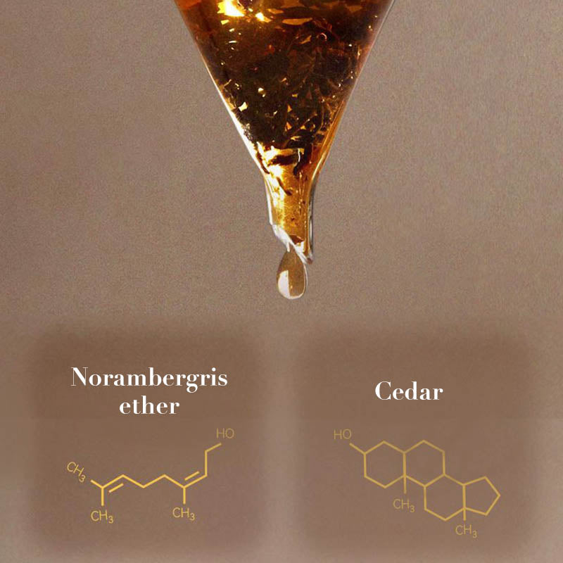 ✨New Arrival✨Night Rhapsody - Captivating and Long-Lasting Men's Perfume