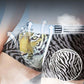 Men's Printed Comfortable Breathable Underwear
