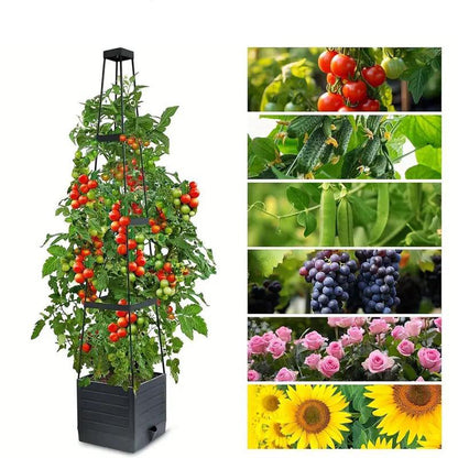 🍅Self-Watering Tomato Planting Box Set Climbing Plants Holder🪴