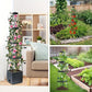🍅Self-Watering Tomato Planting Box Set Climbing Plants Holder🪴