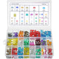 🥳2026 HOT SALE🥳💞50K+ SOLD!🔌🚗 50% OFF! Car Fuse Assortment Kit – Micro, Mini & Standard blade fuses, colour‑coded for easy ID. 100‑300 pcs – be prepared for any electrical fault! 🔧✨
