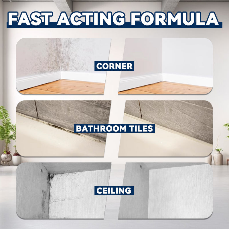 Anti-mould Cleaning Foam Spray