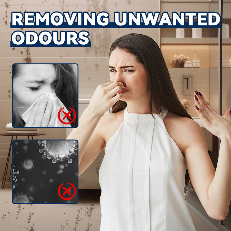 Anti-mould Cleaning Foam Spray