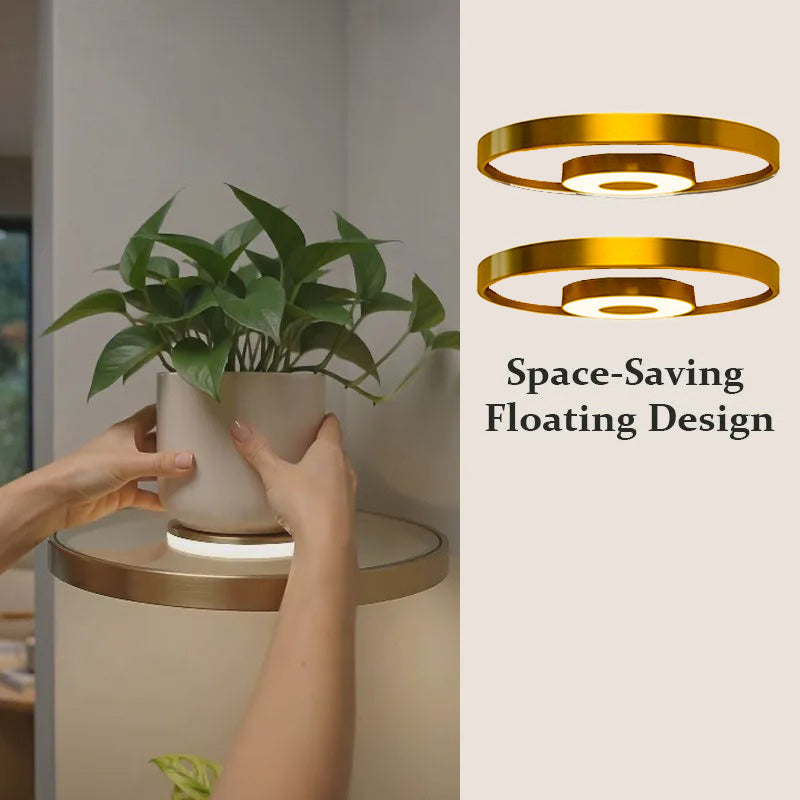 🪴 LIMITED‑TIME 50% OFF! ✨ Floating Shelf with Built‑in LED Light – Elegant, Cord‑Free, Decorative ✨