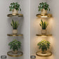 🪴 LIMITED‑TIME 50% OFF! ✨ Floating Shelf with Built‑in LED Light – Elegant, Cord‑Free, Decorative ✨