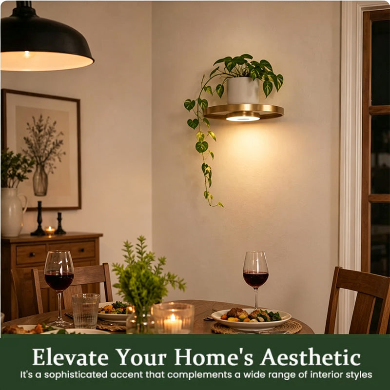 🪴 LIMITED‑TIME 50% OFF! ✨ Floating Shelf with Built‑in LED Light – Elegant, Cord‑Free, Decorative ✨