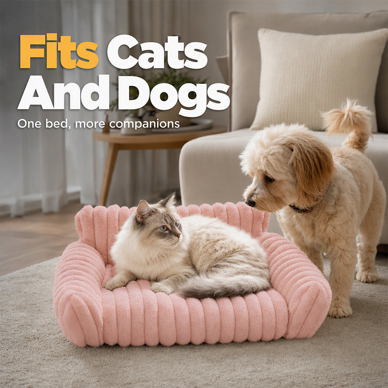 🎉 LIMITED TIME 50% OFF! 🛋️ Cozy Sofa Pet Bed – Ultra-Comfortable, Raised Bolster Edges & Super-Soft Ribbed Plush – Fits Cats & Dogs ✨