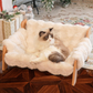 🛋️ LIMITED TIME 50% OFF! 🐾 Elevated Plush Pet Bed with Wooden Frame – Premium Comfort, Sturdy Natural Wood & Removable Washable Cover ✨
