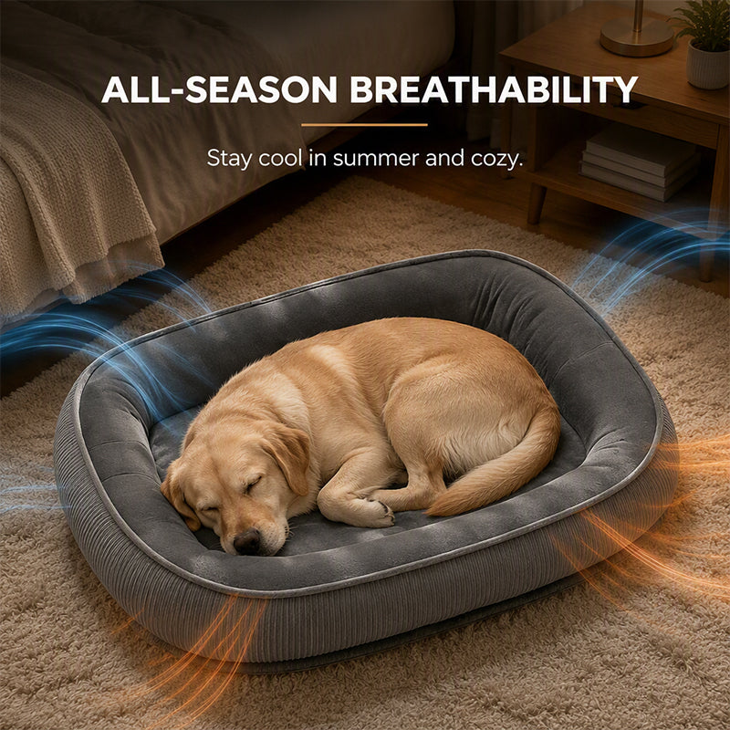 📢📢50% OFF !! ⏰ All‑Season Ergonomic Comfort Pet Bed – Snug, Breathable, Cozy ✨